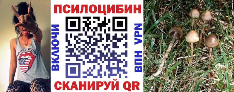 цены наркотик  Азов  Псилоцибиновые грибы прущие грибы 